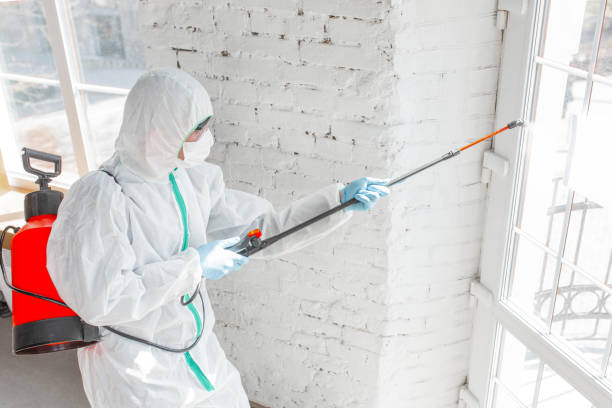 Mold Remediation for Rental Properties in West Ocean City, MD