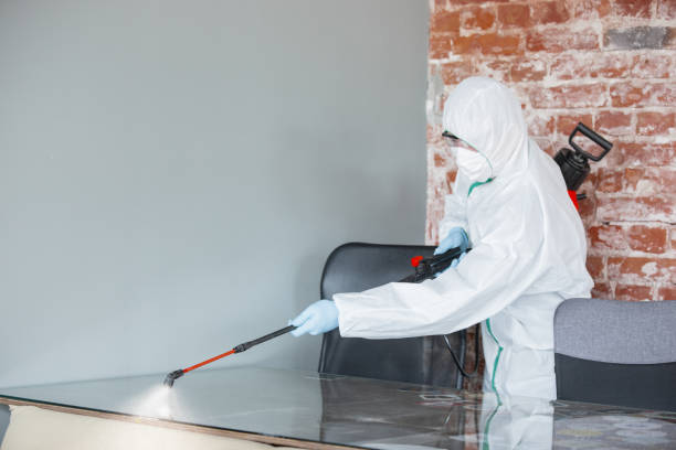 Environmental Consulting for Mold Prevention in West Ocean City, MD